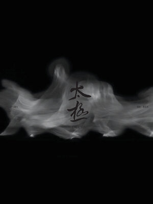 cover image of 太极